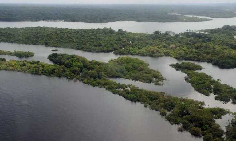 Fundo Amazônia destina R$ 80 milhões para fortalecer produção de alimentos na Amazônia Legal