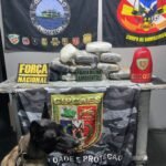 Base Arpão 2: cadela Athena encontra mais de 11 quilos de skunk e mulher é presa